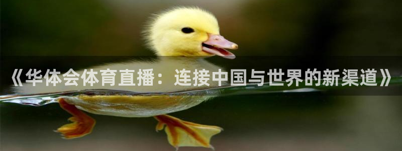 乐球直播最新版