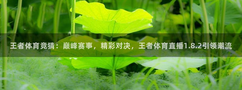 lqtv乐球直播app下载