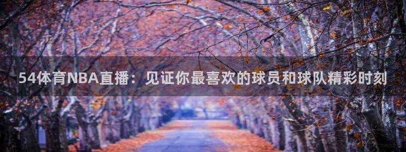 nba直播免费观看直播在线乐球直播