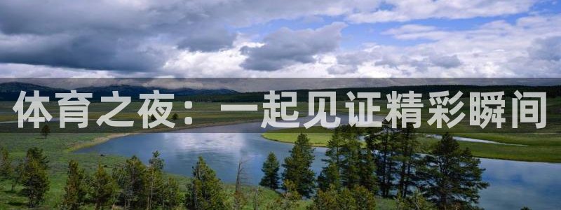乐球直播在线