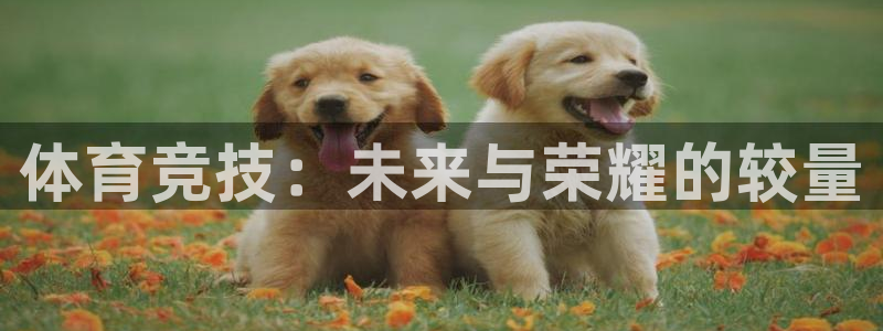 乐球直播ios正版下载入口