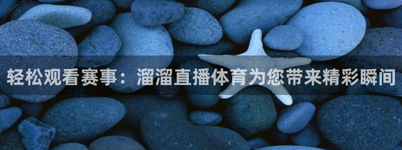 乐球直播tv