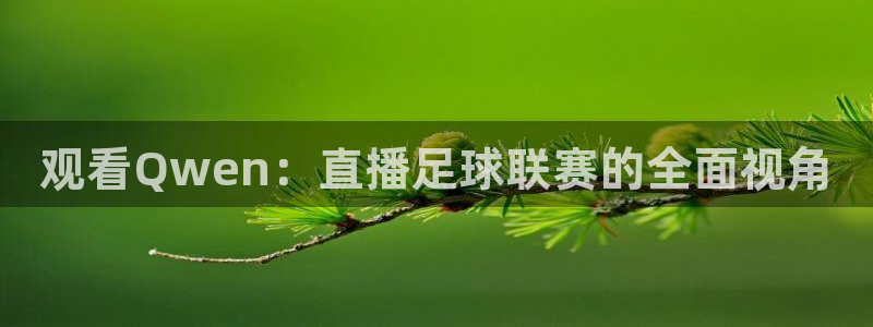乐球直播(无插件)nba