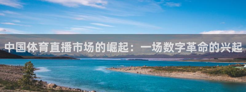 乐球直播app官方入口