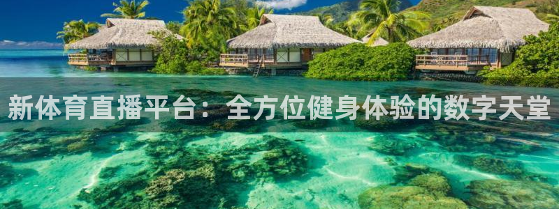 乐球直播nba免费